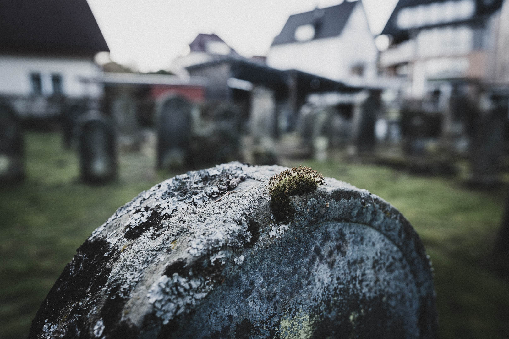 Horn-Bad Meinberg, Jüdischer Friedhof